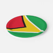 ガイアナ ペーパープレート (アングル)