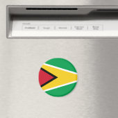 ガイアナ マグネット (インサイチュ (食洗機))