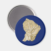 ガイアンマップマグネット マグネット (正面/裏面)