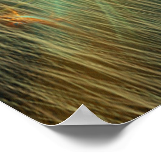 ガイア ポスター (角)