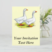 ガイス： エンブデンペア 招待状 (スタンド正面)