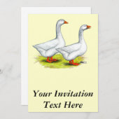 ガイス： エンブデンペア 招待状 (正面/裏面)