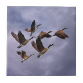 ガイス  タイル (正面)