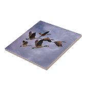 ガイス  タイル (側面)