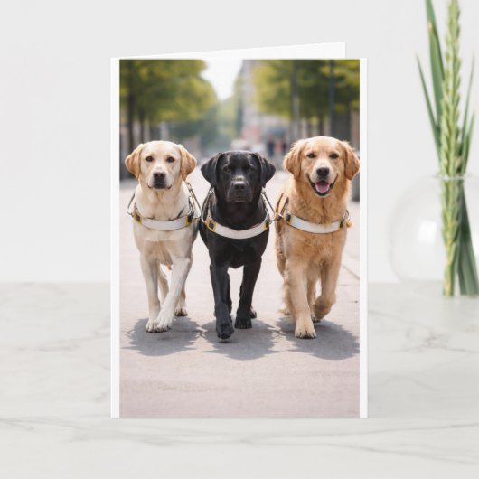 ガイドドッグチーム 発表 力を合わせて 案内状 (正面)