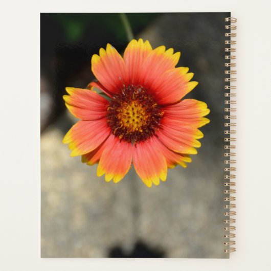 ガイラディアサンフラワーオレンジとイエローフローラ プランナー手帳 (裏面)