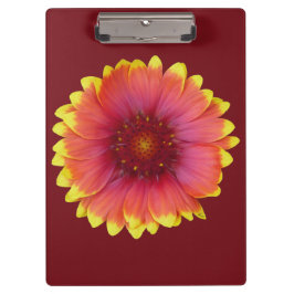 ガイラルディア1 クリップボード