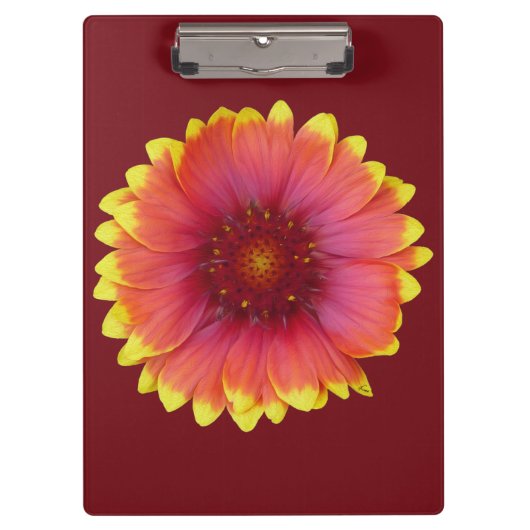 ガイラルディア1 クリップボード (正面)