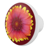 ガイラルディア1 セラミックノブ (右)