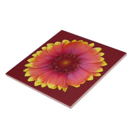 ガイラルディア1 タイル (側面)