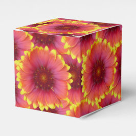 ガイラルディア1 フェイバーボックス