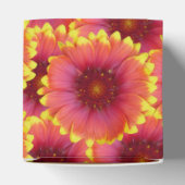 ガイラルディア1 フェイバーボックス (上部)