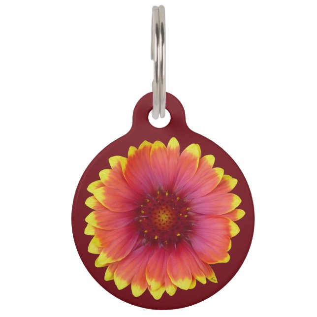 ガイラルディア1 ペット　ネームタグ (正面)