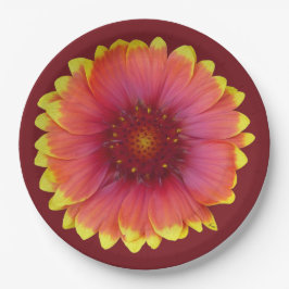 ガイラルディア1 ペーパープレート