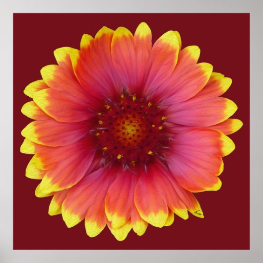 ガイラルディア1 ポスター (正面)