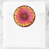 ガイラルディア1 ラウンドシール (バッグ)