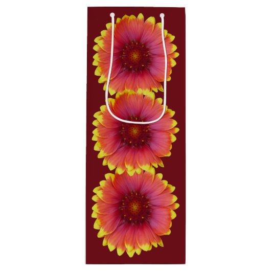 ガイラルディア1 ワインギフトバッグ (正面)