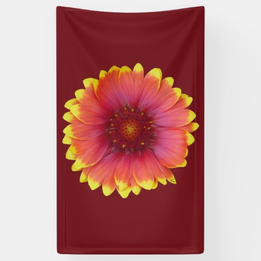 ガイラルディア1 横断幕 (縦)