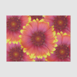 ガイラルディア1 薄葉紙