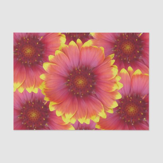 ガイラルディア1 薄葉紙 (正面)