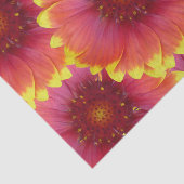 ガイラルディア1 薄葉紙 (詳細)