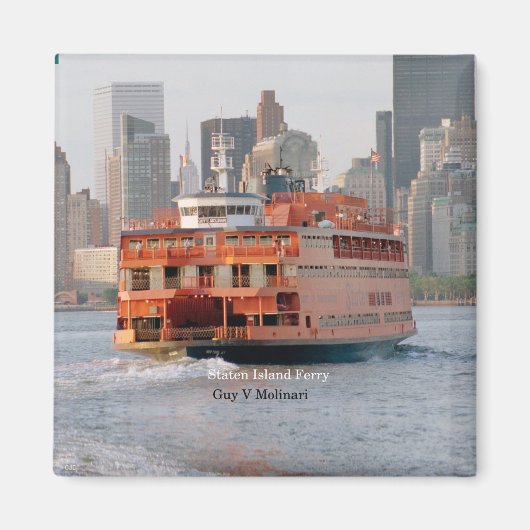 ガイV.モリナリ磁石 マグネット (正面)