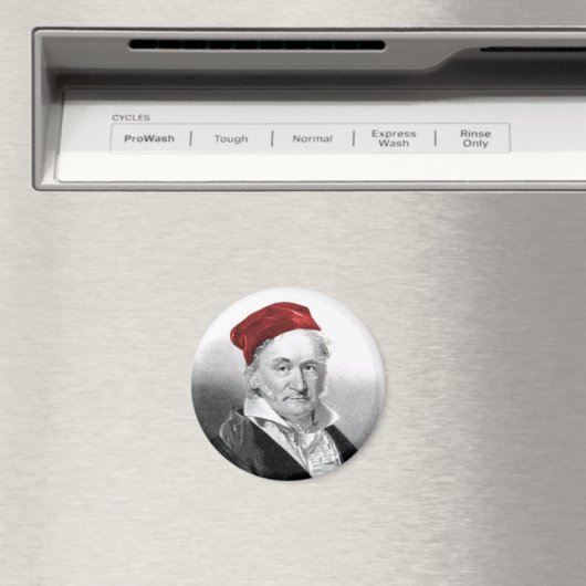 ガウス マグネット (インサイチュ (食洗機))