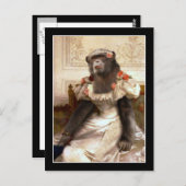 ガウンに素敵なチンプ ポストカード (正面/裏面)