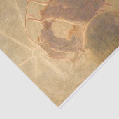 ガエターノ・プリヴァティによる時間の踊り 薄葉紙 (詳細)