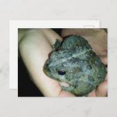 ガエルを持つ手 シーズンポストカード (正面/裏面)