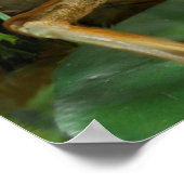 ガエルユーモアのあるがサクソフォンを吸い込む ポスター (角)