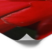 ガエル2 ポスター (角)