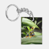 ガエル キーホルダー (正面左)