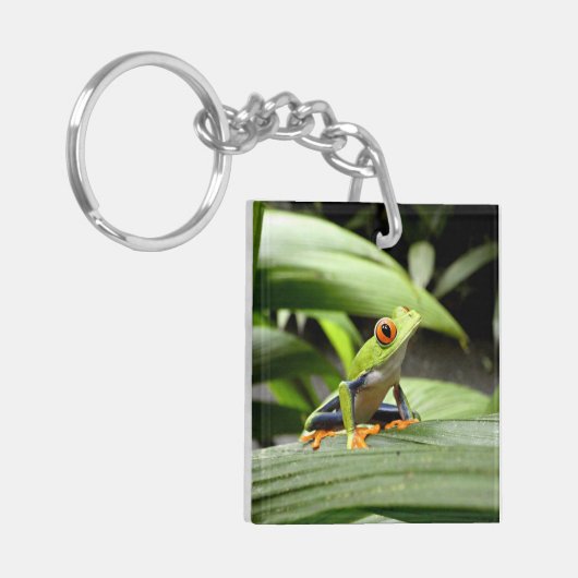 ガエル キーホルダー (正面左)