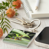 ガエル キーホルダー (正面右)