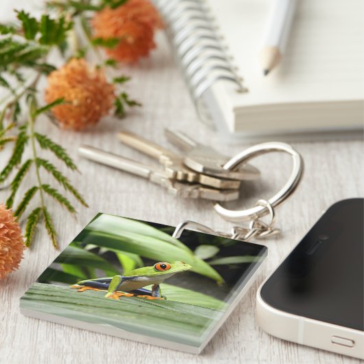 ガエル キーホルダー (正面右)