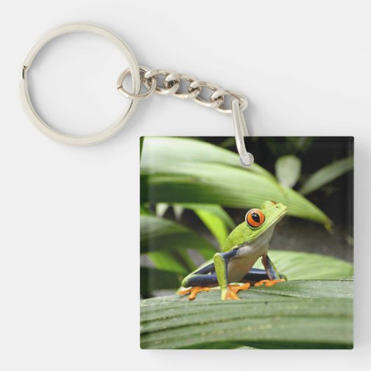 ガエル キーホルダー (正面)