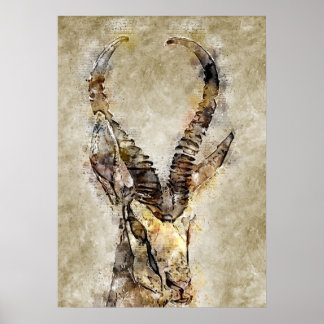 ガクゼルヴィンテージプリントウォールアート ポスター