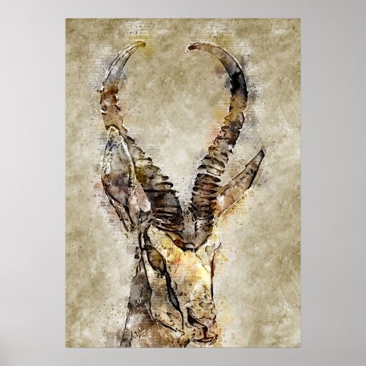 ガクゼルヴィンテージプリントウォールアート ポスター (正面)