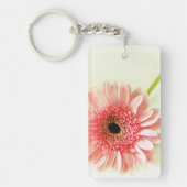 ガサニア キーホルダー (正面)