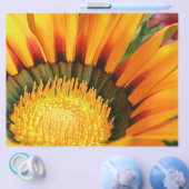 ガサニア チラシ (シングル)