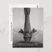 ガサバンナで魚の雨が噴出。 ポストカード (正面/裏面)