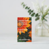 ガザニアの名刺 名刺 (スタンド正面)