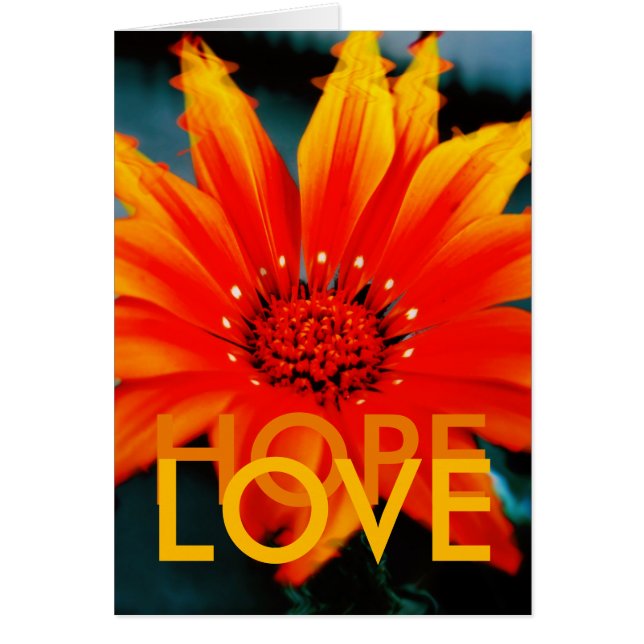 ガザニアートカード (正面)