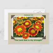 ガザニア葉書 ポストカード (正面/裏面)