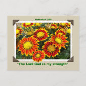 ガザニア葉書 ポストカード (正面)