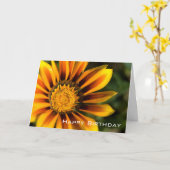 ガザニア|のハッピーバースデー カード (黄色い花)