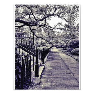 ガストン通り フォトプリント           