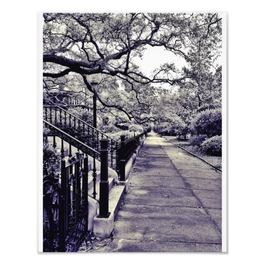 ガストン通り フォトプリント            (正面)