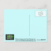 ガスポンプ ポストカード (裏面)